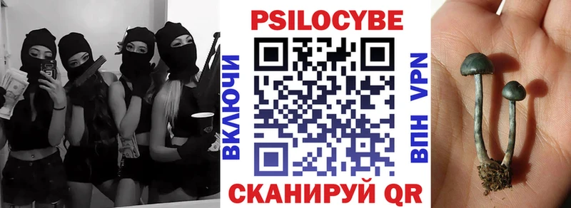 дарнет шоп  Богучар  Псилоцибиновые грибы GOLDEN TEACHER 