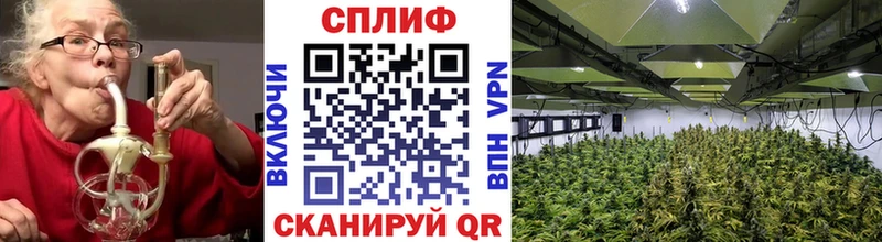 МАРИХУАНА индика  сколько стоит  Богучар 